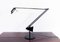 Mid-Century Flamingo Lamp by Fridolin Naef for Luxo 1