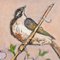 Bunting on a Bamboo Cane Painting by David McClure, 1980s, Image 6