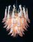 Italian Murano Chandelier, 1989, Imagen 6