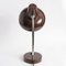 Brown Desk Lamp from Massive, 1970s, Image 6