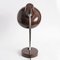 Brown Desk Lamp from Massive, 1970s, Imagen 6