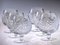 Czech Crystal Drinking Set by Moser, 1960s, Set of 24 2