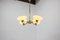 Mid-Century Chandelier from Lidokov, 1970s, Immagine 8