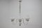 Mid-Century White Chandelier from Lidokov, 1960s, Image 2