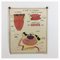 Vintage French No. 19/20 Rossignol School Anatomical Chart, 1960s 1