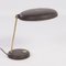 Brown Hillebrand Desk Lamp 5