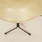 Fiberglas Table Lamp by Louis Kalff for Philips, 1958. 7