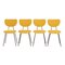 Yellow Dining Chairs model 101 by Gispen for Kembo, 1950s, Set of 4 1