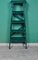Painted Ladder, 1960s 5