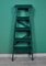 Painted Ladder, 1960s 7