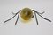 Mid-Century Italian Spider Wall Light 4