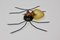 Italienische Mid-Century Spider Wandlampe 1