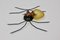 Mid-Century Italian Spider Wall Light 1