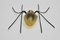 Italienische Mid-Century Spider Wandlampe 7