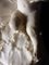 Gruppo scolpito in alabastro antico di A Del Perugia, Immagine 7