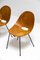 Dining Chairs by Carlo Ratti for Societa Compensati Curvata, 1950s, Set of 6 1