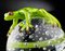 Scultura a sfera con geco verde di VGnewtrend, Immagine 4