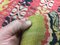 Türkischer Vintage Shebby Kilim Teppich aus Wolle 150x88cm 10