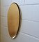 German Aluminum Hall Wardrobe and Gold Mirror Set, 1950s, Set of 2, Image 4