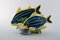 Figurine Poisson en Grès par Gunnar Nylund pour Rörstrand, 1950s 2