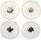 Antique Flat Plates in the Style of Flora Danica for Royal Copenhagen, Set of 4 1