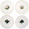 Antique Flat Plates in the Style of Flora Danica for Royal Copenhagen, Set of 4, Immagine 1