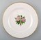Antique Flat Plates in the Style of Flora Danica for Royal Copenhagen, Set of 4 2