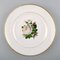 Antique Flat Plates in the Style of Flora Danica for Royal Copenhagen, Set of 4 4