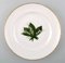 Antique Flat Plates in the Style of Flora Danica for Royal Copenhagen, Set of 4 5