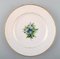 Antique Flat Plates in the Style of Flora Danica for Royal Copenhagen, Set of 4 3