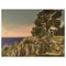 Paesaggio costiero con rocce di Helge Franzén, anni '60, Immagine 1