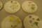 Art Nouveau Hand-Painted Different Flower Plates from Rörstrand, Set of 11 2