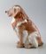 Chiot Golden retriever Numéro 5136 de Royal Copenhagen, 20ème Siècle 3