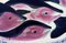 Alaska Keramikschale mit Fischdekor von Kate Maury, 2001 3