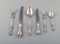 Olga Dinner and Lunch Service by Hallberg's Goldsmiths, 1946, Set of 49, Image 2