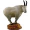 Figura de oveja salvaje de gres de Bing & Grondahl, siglo XX, Imagen 1