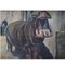 Óleo sobre lienzo de hipopótamo de Pierre Noyelle, Imagen 1