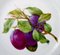 Durchsichtiger Royal Flora Flora Danica Teller mit Pflaumenmotiv in Obst Optik 2