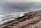 Hornbak Beach Öl auf Leinwand von William Jacob Rosenstand 2