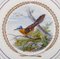 Große Royal Copenhagen Teller für Dinner oder Dekoration mit Vogelmotiv, 5er Set 7