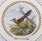 Royal Copenhagen Large Dinner or Decoration Plates with Bird Motifs, Set of 5, Image 7