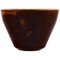 Saxbo Steingut Vase in modernem Design mit Glasur in braunen Schirmen 1