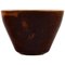 Saxbo Stoneware Vase in Modern Design with Glaze in Brown Shades 1