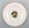 Assiettes Royal Copenhagen Antique Style Flora Danica, Set de 4 3