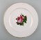 Antique Royal Copenhagen Flat Plates in Flora Danica Style, Set of 4 5