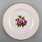 Antique Royal Copenhagen Flat Plates in Flora Danica Style, Set of 4 2