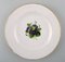 Antique Royal Copenhagen Flat Plates in Flora Danica Style, Set of 4 3