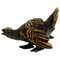 Antique Vienna Bronze Capercaillie Bronze Figurine 1