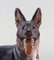 Porcelain Model 1089 German Shepherd Figurine by Dahl Jensen 6