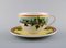 Gianni Versace per Rosenthal Ivy Leaves Passion tazze con piattino, set di 4, Immagine 2